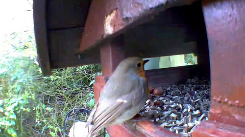 lKnp SUTZDv6f4j5.jpg