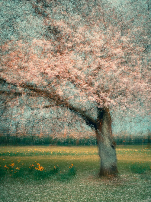 HE QOinakAAPvfd?format=jpg.jpg