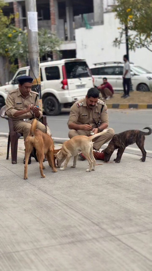 LACwb5Z9q fH9cne.jpg