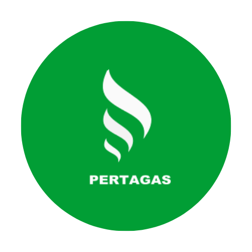 temp image 1775213223298.png