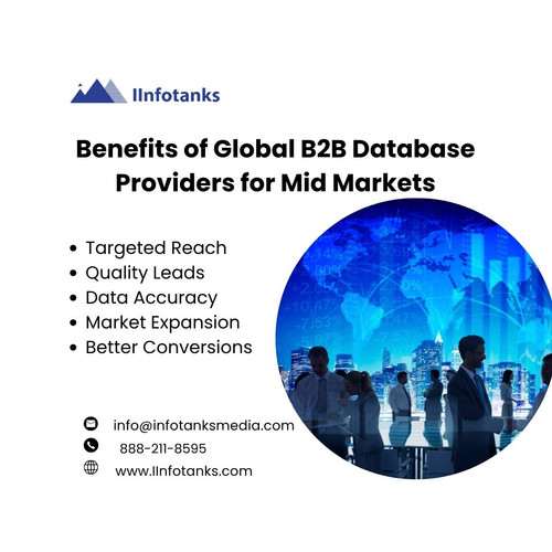 Benefits of Global B2B Database Providers for Mid Markets.jpg