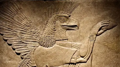 ezgif 2 0ce1b696eb0d.webp