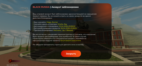 IMG 9377.png