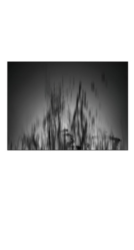 8acb82f7c2a6.jpg