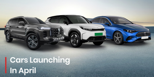 New Project (44).png