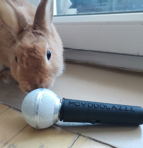 Кроличий рэп.jpg