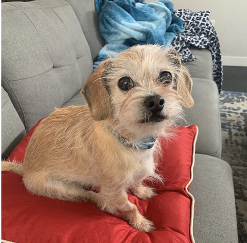 Screenshot 2026 04 03 at 2.53.58 AM.png