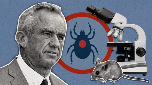 Lyme disease vaccine faces questions under RFK Jr..jpg