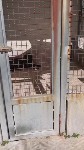 pweKV 0FgdjUZJiK.jpg