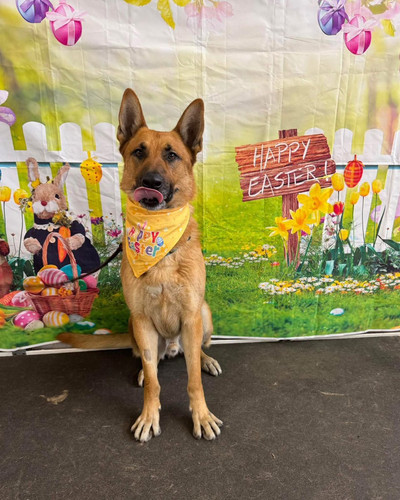 HE8Ok5MX0AAW NX?format=jpg.jpg