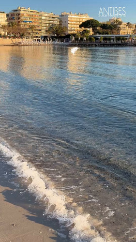 gcAX noAHp83A R .jpg