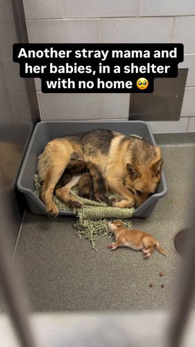 xSu7voznJqqS LlR.jpg