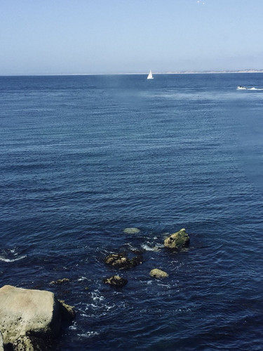 HE9T S1a8AAKG7d?format=jpg.jpg