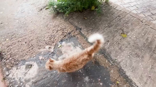 G5zW Wcheaz698D1.jpg