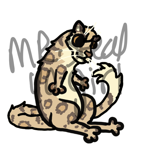 1000018831.png