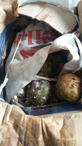 WhatsApp Image 2026 04 03 at 14.34.54.jpg