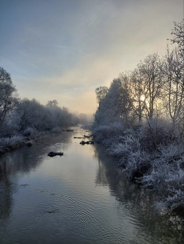 1775157258217 AQADVw5rG9cDcFJ .jpg