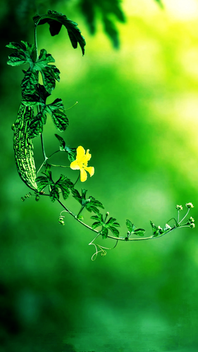 Tmp 1775178767266.png