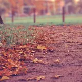 Facturile la energie electrică scad cu 15% pentru consumatorii casnici din mai 2026