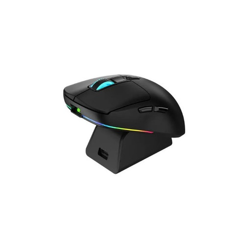 photo 2026 04 03 12 06 38 std.jpg