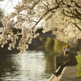 Cum va fi vremea de Florii. ANM anunță la ce temperaturi să ne așteptăm