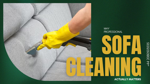 WHYPROFESSIONALSOFACLEANINGACTUALLYMATTERS pages pages page 0001.jpg