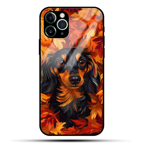 Autumn Breeze Dachshund.jpg