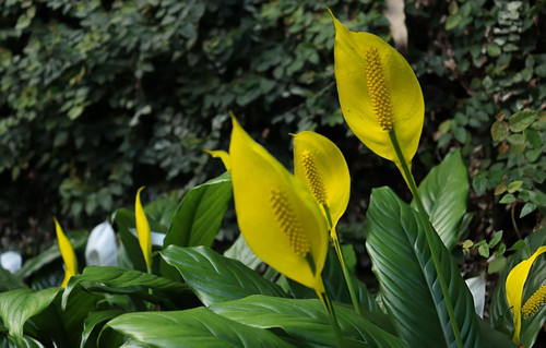 718LL+aU+VL. SL1500 .jpg