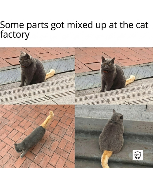 MEME (23).png