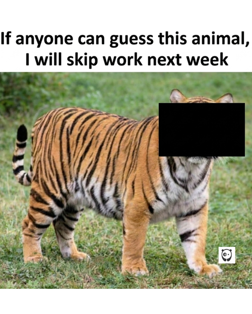 MEME (22).png