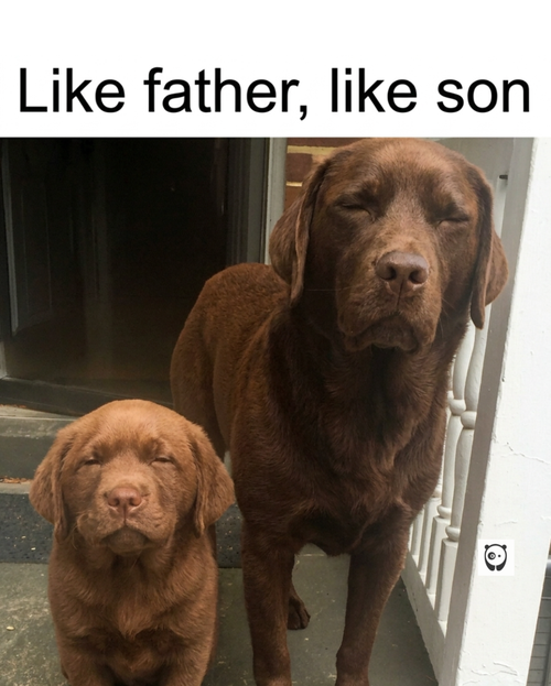MEME (26).png