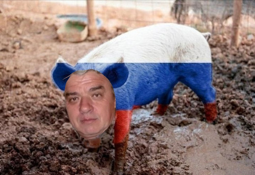 Polish 20260515 132258472.jpg