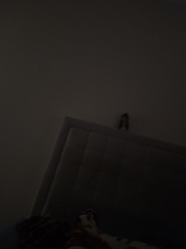 temp.png