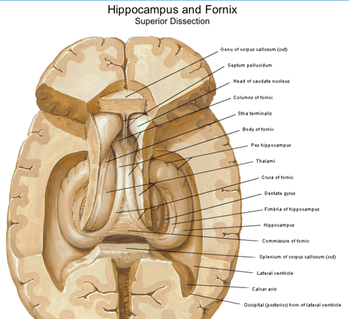 d209d0767225.png