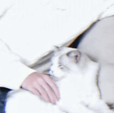 1000102356.gif