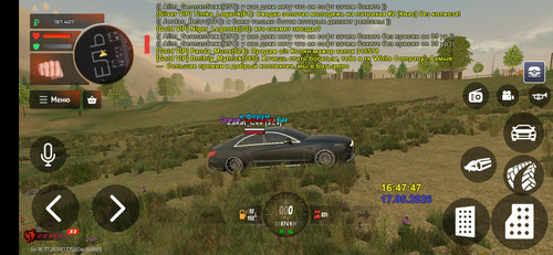 1000116500.jpg