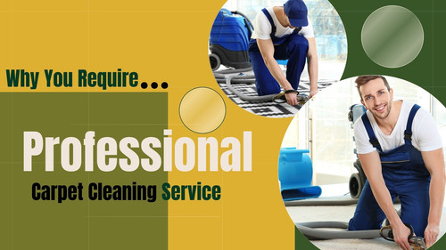 Why You Require a Professional Carpet Cleaning Service.jpg