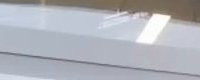516959943cdb.jpg