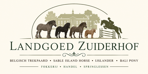 zuiderhof kleiner.png