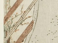 aadcbe5a1d63.jpg