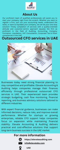 Smart Financial Growth with outsourced CFO services in UAE.jpg