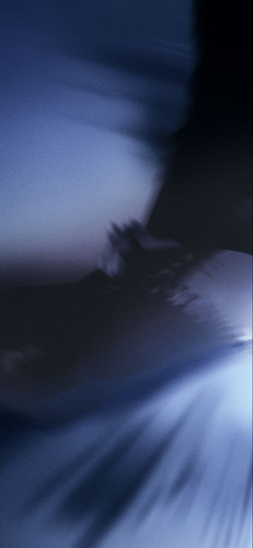 a112e448c1a5.jpg