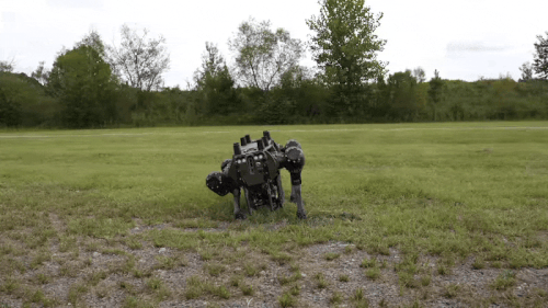 Ruggedized.gif