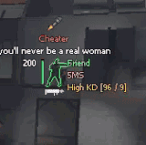 09667b80d6edf0067fffde70548322c6.gif