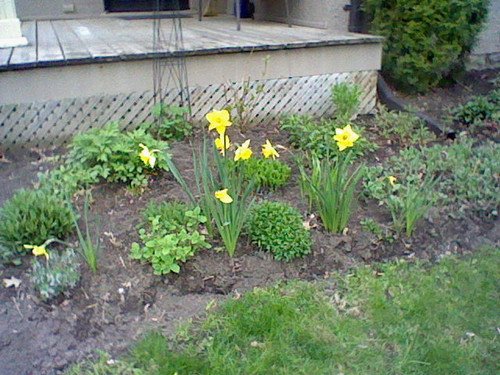 HNI 0063.jpg