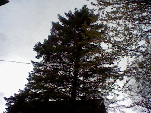 HNI 0064.jpg