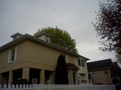 HNI 0061.jpg