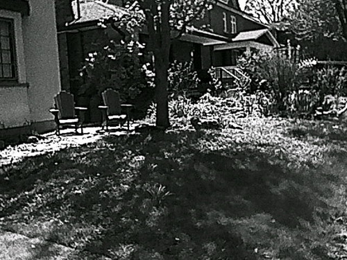 HNI 0001.jpg