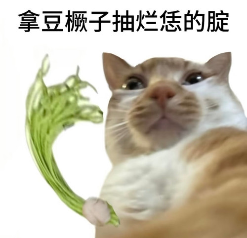 Screenshot 2026 05 18 06 12 35 192 edit com.xingin.xhs.jpg