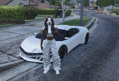 FiveM GTAProcess 1vNRSJznI6.png